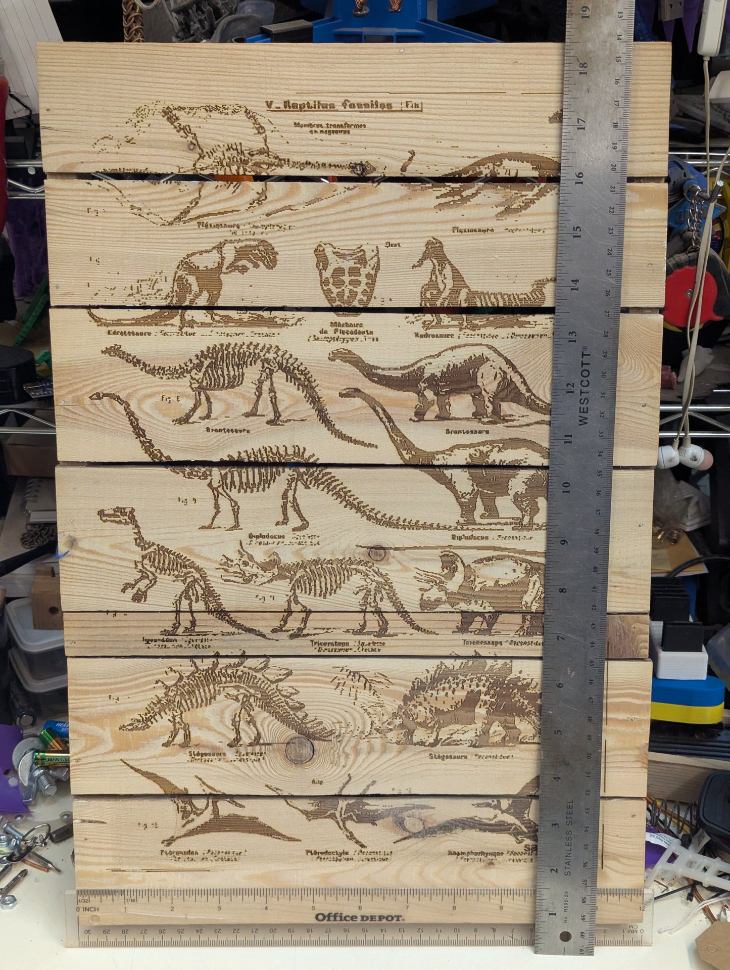 wood burn dinosaur collage