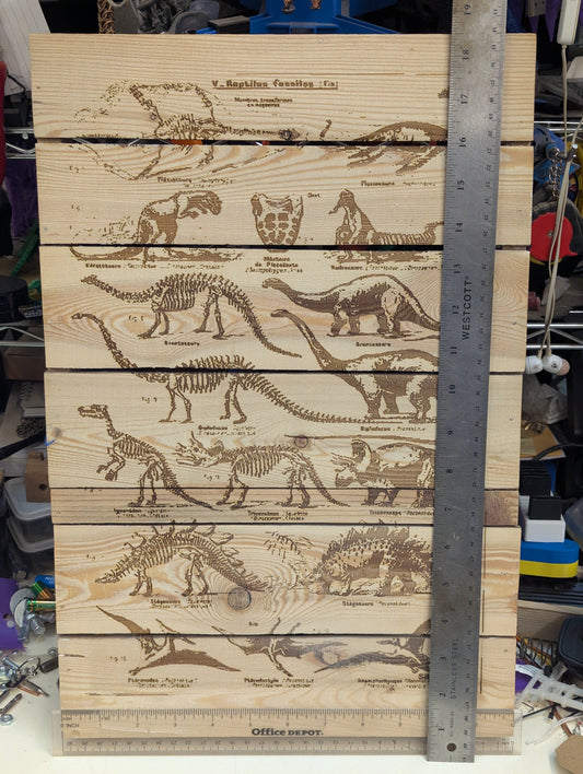 wood burn dinosaur collage