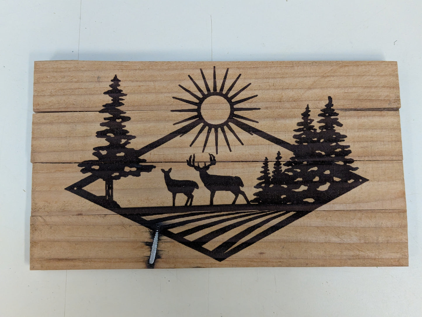 wood hot pad country theme