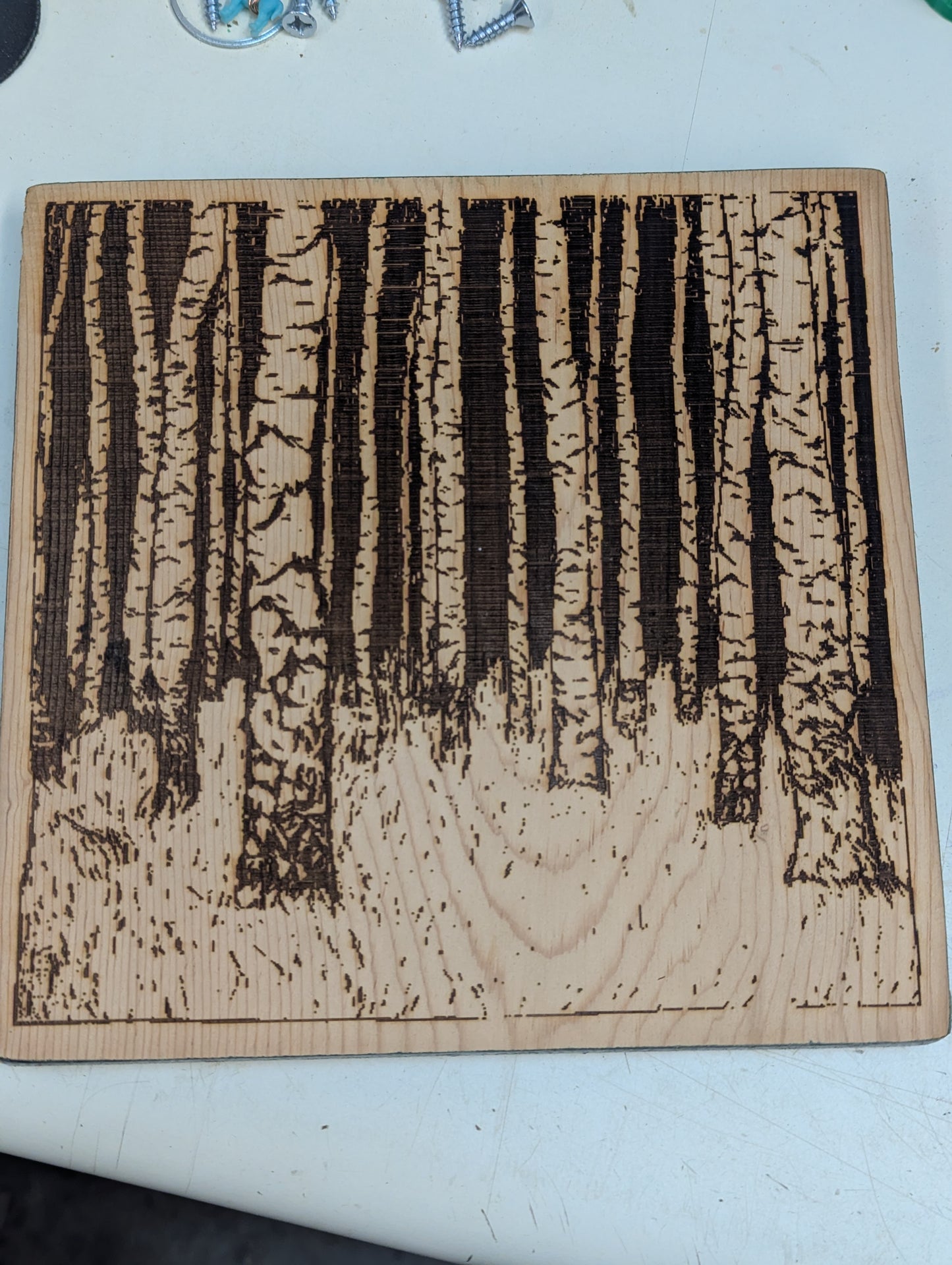 Wood burn trees/forrest