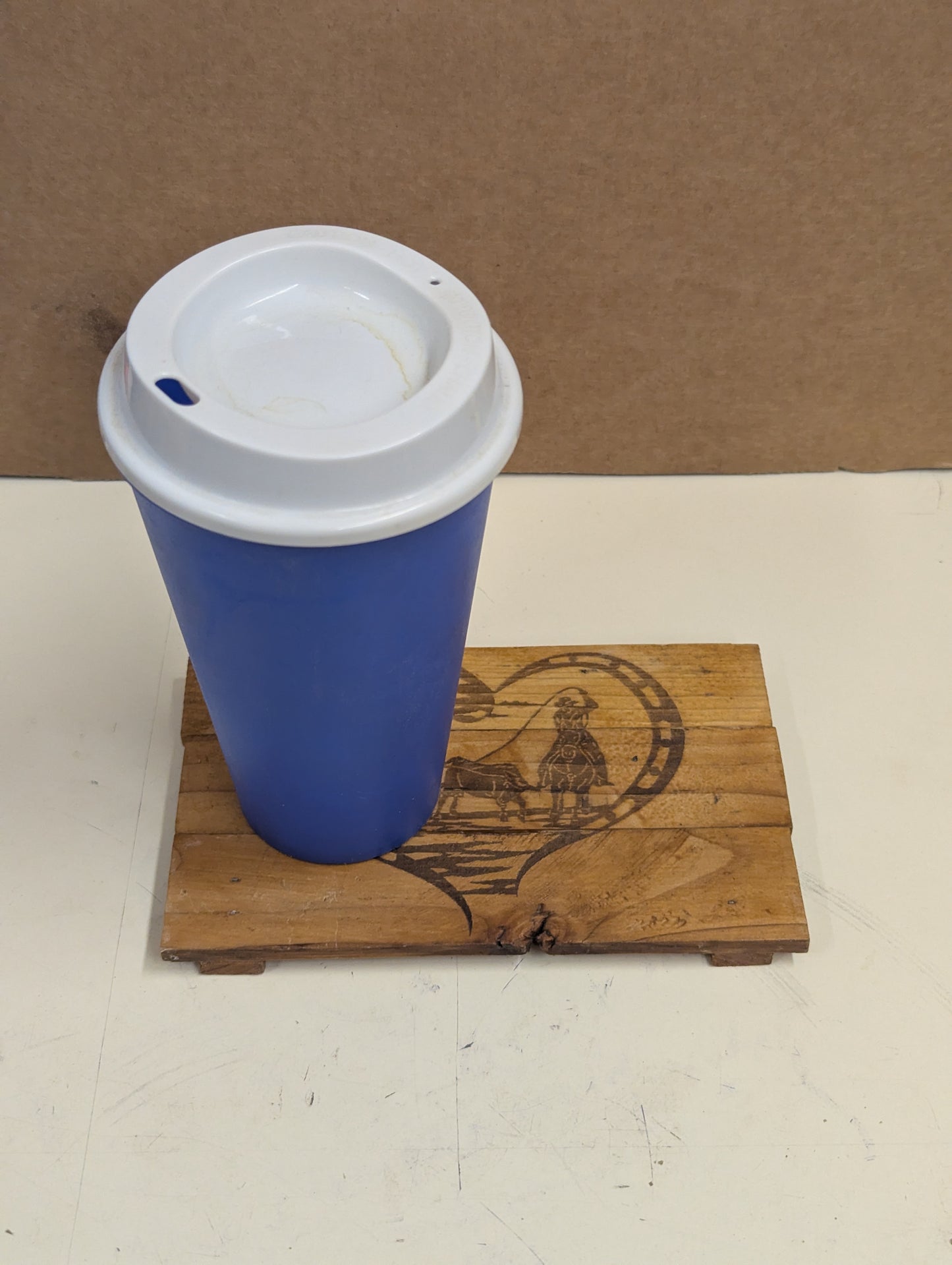 Woodcoaster wood burn