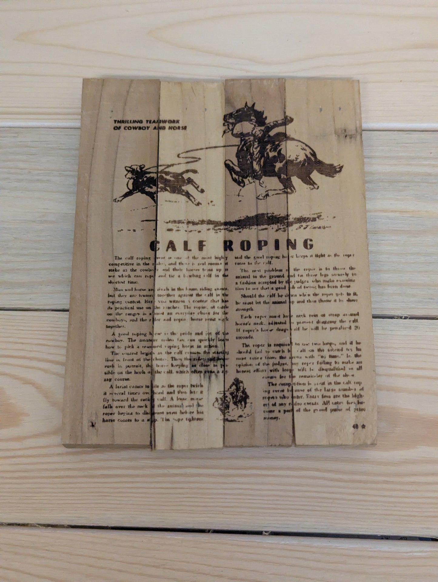 Wood burn bull roping