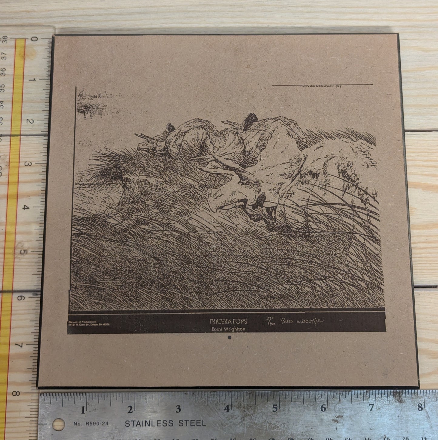 Wood burn dinosaurs