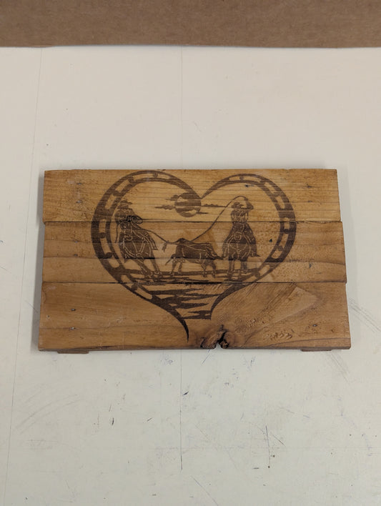 Woodcoaster wood burn